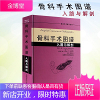 骨科手术图谱/入路与解剖彩色精装骨科手术学临床外科手术技巧丛书 运动解剖学骨科手术图谱 实用骨科