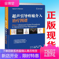 超声引导疼痛介入治疗图谱 精装彩印版 供疼痛麻醉理疗风湿神经骨科医生运动保健师脊柱科医生及介入放射科