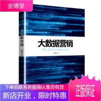 正版教材书籍 大数据营销阳翼中国人民大学出版社大学本科研究生教材
