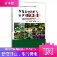 草莓高效栽培与病虫害识别图谱