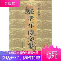 张孝祥诗文集——安徽古籍丛书第26辑