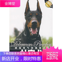 威猛帅气的德国士兵:杜宾犬