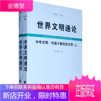 中华文明·中国少数民族文明(上、下)(世界文明通论) 何星亮;汝信