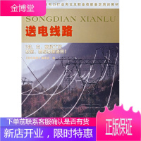 新统一编写电力行业岗位及职业技能鉴定培训教材 送电线路(初中 《送电线路》委会