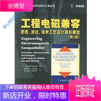 工程电磁兼容 原理测试技术工艺及计算机模型(第2版)水印 陈淑凤 译 柯达里