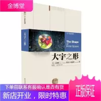 大宇之形 [美]丘成桐、史蒂夫