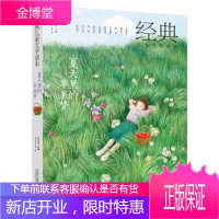 夏天里的苹果梦 王家勇