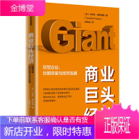 商业巨头经济 巨型企业、巨额财富与经济发展