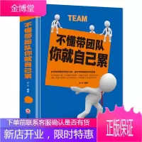 不懂带团队你就自己累 企业管理书籍 销售管理书籍说话技巧 人力资源行政管理方面的书籍