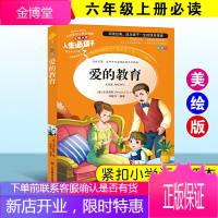 爱的教育 六年级上册 无障碍阅读 名词美句 名师点评 中小学生课外阅读指导丛书