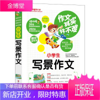 2020新版小学生写景作文优秀同步作文好词好句好段好开头好结尾小学生三四五六年级辅导书大全3-6年