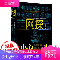 正版 网探 网络金融P2P融资全解密 网络犯罪 刑侦探案推理小说 首部网络警察办案刑侦故事悬疑