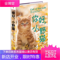 你好,小野猫 “猫奴”是这样练成的