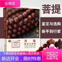菩提鉴定与选购从新手到行家 北京菩提大王十余年藏玩秘籍 菩提基础入门到行家实战 选购指南把玩秘诀 收