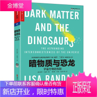 暗物质与恐龙 宇宙万物的互联 丽莎兰道尔 一本书读懂暗物质的秘密宇宙知识科技丛书科学可以这样看宇宙科
