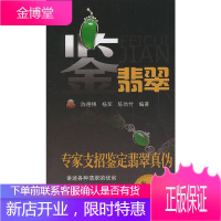 鉴翡翠 专家支招鉴定翡翠真伪 翡翠优劣鉴赏方法翡翠收藏保养基本常识 艺术品投资收藏指南 翡翠鉴赏艺术