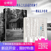 邂逅瓦尔登湖套装2册 瓦尔登湖+瓦尔登湖艺术笔记 外国文学书籍经典名著哲学哲理书籍