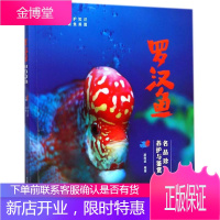 罗汉鱼 吉林科学技术出版社 胡南波 编著 生活休闲