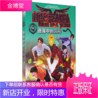 新纪元战队4:迷海中的沉舟 果核儿公社 编 中国质检出版社,中国标准出版社