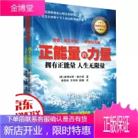 正能量的力量一拥有正能量人生无限量 排除负面情绪 传递正向能量的心灵成长之书 (美)勒尔顿