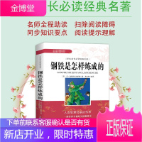 钢铁是怎样炼成的 学生成长阅读经典名著 中小学生