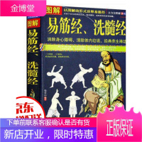 图解易筋经 洗髓经 易筋经 养生 达摩古法与少林功夫武术书籍图书 消除身心障碍清除体内垃圾