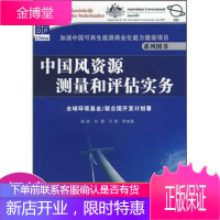 加速中国能源商业化能力建设项目系列图书:中国风资源测量和评估实务