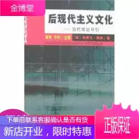 后现代主义文化:当代理论导引