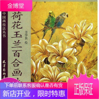 荷花玉兰百合画法