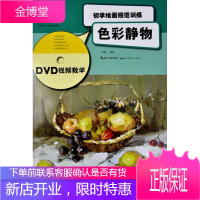 初学绘画规范训练:色彩静物视屏教学