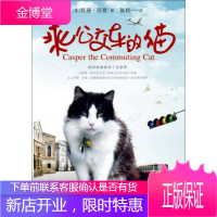 乘公交车的猫