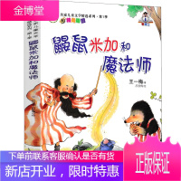 正版 鼹鼠米加和魔法师 王一梅童话系列小学生二三四五六年级课外书阅读书籍儿童读物少儿书籍6-