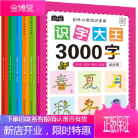 减100 儿童识字书大王学前3000字全6册3-6岁儿童学前教育幼小衔接整合教材 学龄前儿童早教