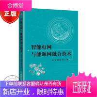 智能电网与能源网融合技术