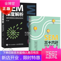 SEM三十六计 搜索引擎营销实战+SEM深度解析 搜索引擎营销及主流网站分析实战SEM数据分析原理