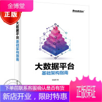 大数据平台基础架构指南 刘旭晖 大数据开发平台服务构建技术书籍