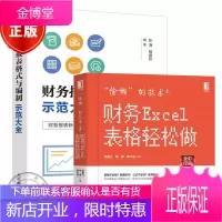 2本偷懒的技术2 财务Excel表格轻松做+财务报表格式与编制示范大全书籍