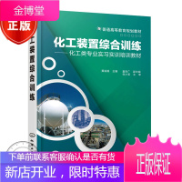 化工装置综合训练 黄裕娥 图书籍
