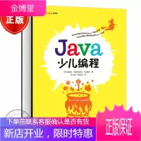 Java少儿编程 图灵程序设计 Java软件安装操作算法基础入门教程书籍