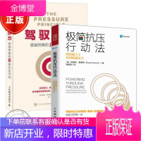 2册驾驭压力+极简抗压行动法 高效能人士如何管理压力 职场抗压书