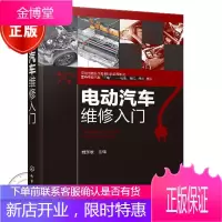 电动汽车维修入门 新能源汽车维修书籍