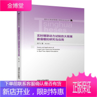 实时耦联动力试验的大规模数值模拟研究与应用 朱飞著