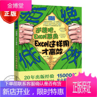正版 拒绝低效:逆袭吧,Excel菜鸟&mdash;&mdash;Excel这样用才gao效 计算机