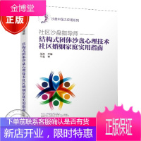 社区沙盘指导师 结构式团体沙盘心理技术社区婚姻家庭实用指南 沙盘心理技术培训书籍