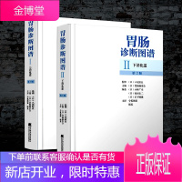 2册胃肠诊断图谱:上下消化道(第2版)精装套装实用消化内科临床医学书籍 胃肠病学诊断技术 $临床胃肠