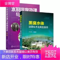 黑臭水体治理技术及典型案例+水的深度处理与回用技术 废水处理污水处理技术书籍