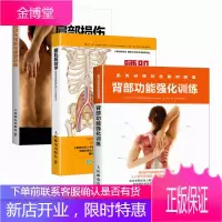 肩部损伤与康复训练+背部功能强化训练+腰肌解剖学 3册背部颈部腰部脊椎脊柱疼痛治疗按摩书