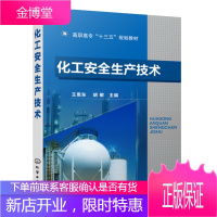化工安全生产技术 王恩东高等职业教育化工及相关教材 化工安全管理书籍