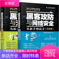 黑客攻防与网络安全从新手到高手 实战篇+黑客攻防与无线安全从新手到高手 版书籍