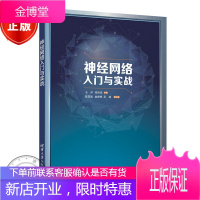 神经网络入门与实战 于洋 神经网络盲均衡算法的基本理论及算法形式书籍